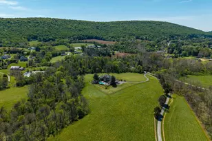 19726 Frog Eye Rd, Knoxville, MD 21758 - Photo 43