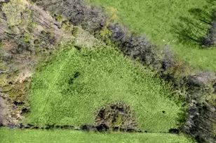 8031 Sharpsburg Pike, Fairplay, MD 21733 - Photo 89