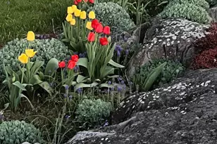 17035 Virginia Ave, Williamsport, MD 21795 - Photo 9