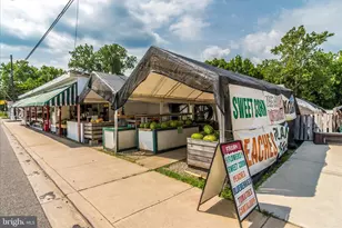 207 Tiger Way, Boonsboro, MD 21713 - Photo 53