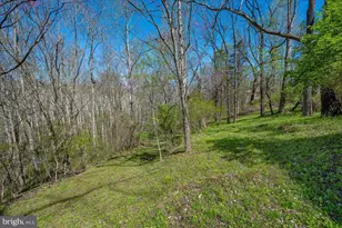 4304 Sharmans Run, Sharpsburg, MD 21782 - Photo 49