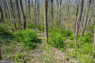 4304 Sharmans Run, Sharpsburg, MD 21782 - Photo 57