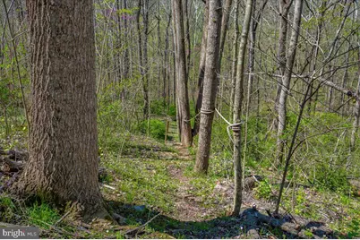 4304 Sharmans Run, Sharpsburg, MD 21782 - Photo 53