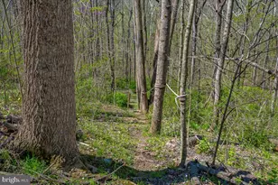 4304 Sharmans Run, Sharpsburg, MD 21782 - Photo 53