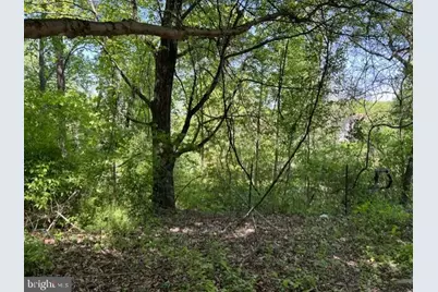 21410 Swope Road, Boonsboro, MD 21713 - Photo 5