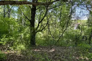 21410 Swope Rd, Boonsboro, MD 21713 - Photo 5