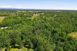 8805 Reichard Rd, Fairplay, MD 21733 - Photo 67