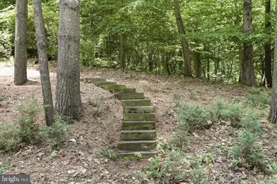 3370 Harpers Ferry Road, Sharpsburg, MD 21782 - Photo 65