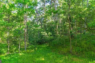 9000 Corner Rd, Hancock, MD 21750 - Photo 29