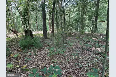 14126 Indian Springs Road, Clear Spring, MD 21722 - Photo 7