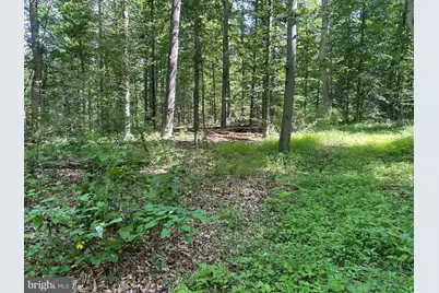 14126 Indian Springs Road, Clear Spring, MD 21722 - Photo 13