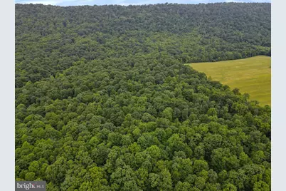 75.31+/- Acres Off Of Porters Ln, Hancock, MD 21750 - Photo 13