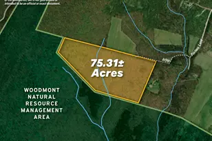 75 31+/- Acres Off Of Porters Ln, Hancock, MD 21750 - Photo 1