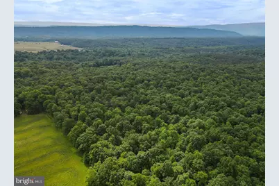 75.31+/- Acres Off Of Porters Ln, Hancock, MD 21750 - Photo 11