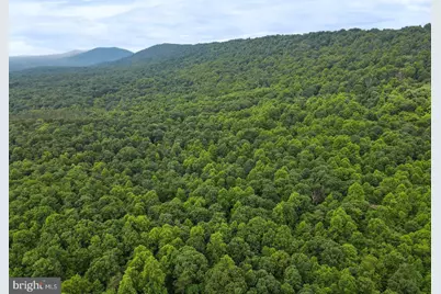 75.31+/- Acres Off Of Porters Ln, Hancock, MD 21750 - Photo 9