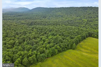 75.31+/- Acres Off Of Porters Ln, Hancock, MD 21750 - Photo 5