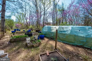 4304 Sharmans Run, Sharpsburg, MD 21782 - Photo 53