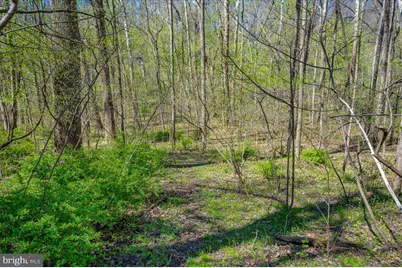 4304 Sharmans Run, Sharpsburg, MD 21782 - Photo 59