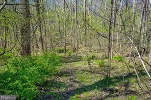 4304 Sharmans Run, Sharpsburg, MD 21782 - Photo 59