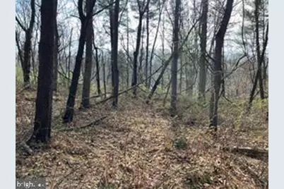 Lot 10 Shanktown Road, Big Pool, MD 21711 - Photo 1