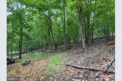 11915 Cove Road, Clear Spring, MD 21722 - Photo 85