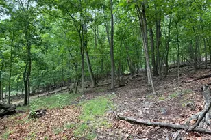 11915 Cove Rd, Clear Spring, MD 21722 - Photo 85