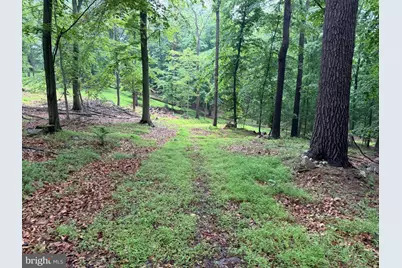 11915 Cove Road, Clear Spring, MD 21722 - Photo 77
