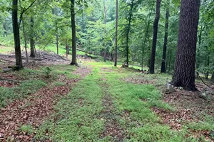 11915 Cove Rd, Clear Spring, MD 21722 - Photo 77