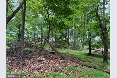 11915 Cove Road, Clear Spring, MD 21722 - Photo 75