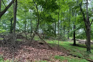 11915 Cove Rd, Clear Spring, MD 21722 - Photo 75