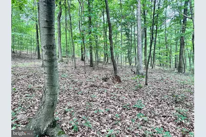 0 Hanging Rock Road, Clear Spring, MD 21722 - Photo 13
