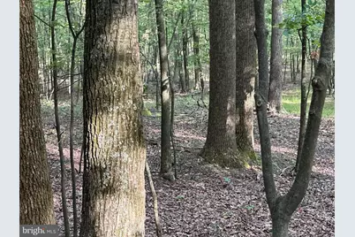 0 Hanging Rock Road, Clear Spring, MD 21722 - Photo 7