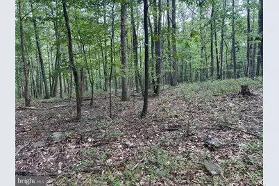 0 Hanging Rock Road, Clear Spring, MD 21722 - Photo 25