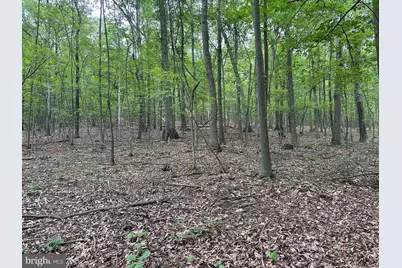 0 Hanging Rock Road, Clear Spring, MD 21722 - Photo 19