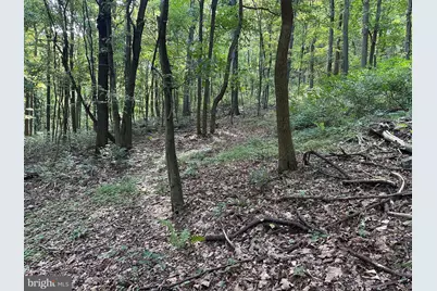 0 Hanging Rock Road, Clear Spring, MD 21722 - Photo 17