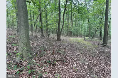 0 Hanging Rock Road, Clear Spring, MD 21722 - Photo 23