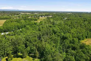 8805 Reichard Rd, Fairplay, MD 21733 - Photo 63