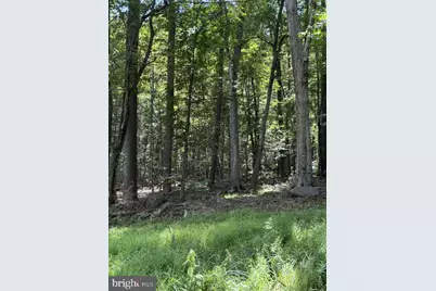 [Address not provided], Knoxville, MD 21758 - Photo 57