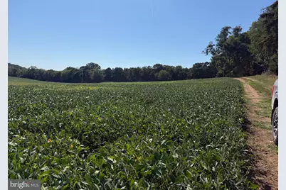 110+/- Acres Mt Carmel Church Road, Keedysville, MD 21756 - Photo 25