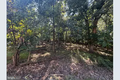 110+/- Acres Mt Carmel Church Road, Keedysville, MD 21756 - Photo 33