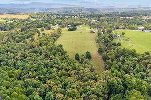14822 Heavenly Acres Rdg Ridge, Hancock, MD 21750 - Photo 57