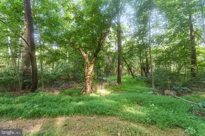 6036 Canter Lane, Sharpsburg, MD 21782 - Photo 5