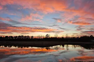 Lot 7A Mourning Dove Way, Delmar, MD 21875 - Photo 5