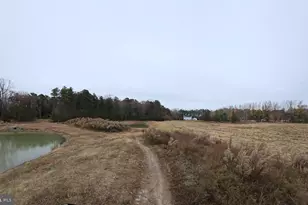 Lot 7A Mourning Dove Way, Delmar, MD 21875 - Photo 41