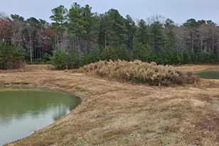 Lot 8A Song Sparrow Circle, Delmar, MD 21875 - Photo 31