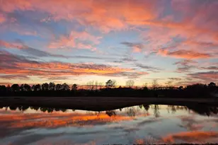 Lot 8A Song Sparrow Circle, Delmar, MD 21875 - Photo 15