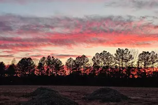 Lot 8A Song Sparrow Circle, Delmar, MD 21875 - Photo 55