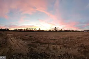 Lot 8A Song Sparrow Circle, Delmar, MD 21875 - Photo 53