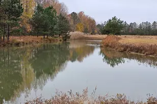 Lot 8A Song Sparrow Circle, Delmar, MD 21875 - Photo 3