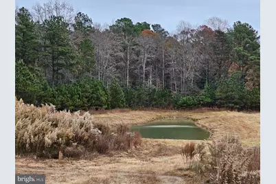 Lot 9A Song Sparrow Circle, Delmar, MD 21875 - Photo 43